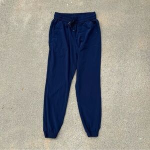 Aritzia Tna Navy Blue Pants